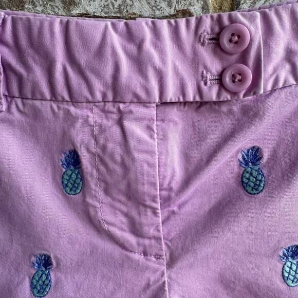 Vineyard Vines Pineapple Embroidered Chino Casual Shorts Women's Size 0 - Picture 5 of 11